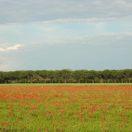 Appartamenti Mirella Bibione Exterior photo